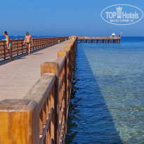 фото из отзыва ID 2740389