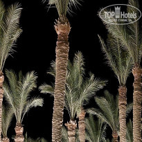 фото из отзыва ID 2740389