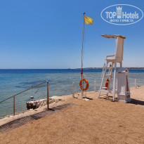 фото из отзыва ID 2740389