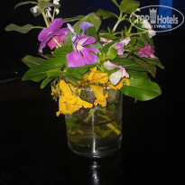 фото из отзыва ID 2740395