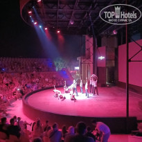 фото из отзыва ID 2740420