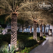 фото из отзыва ID 2740421