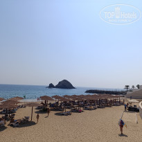 фото из отзыва ID 2740421