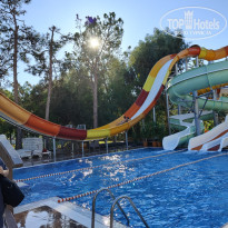 фото из отзыва ID 2740424