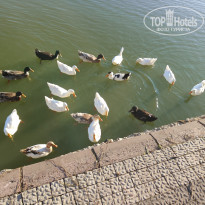 фото из отзыва ID 2740424