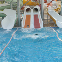 фото из отзыва ID 2740424