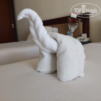 фото из отзыва ID 2740447