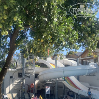 фото из отзыва ID 2740448