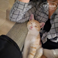 фото из отзыва ID 2740437