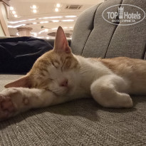 фото из отзыва ID 2740437