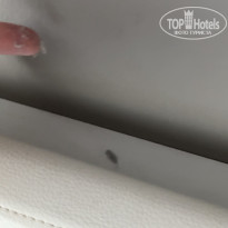 фото из отзыва ID 2740464