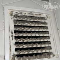 фото из отзыва ID 2740464