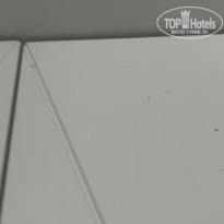 фото из отзыва ID 2740464