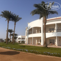 фото из отзыва ID 2740483