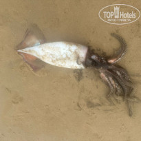 фото из отзыва ID 2740484