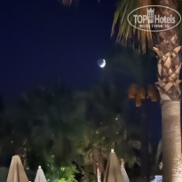 фото из отзыва ID 2740490