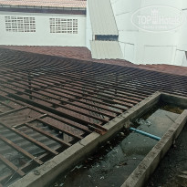 фото из отзыва ID 2740470