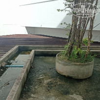 фото из отзыва ID 2740470