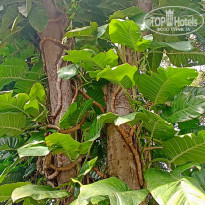 фото из отзыва ID 2740470