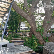 фото из отзыва ID 2740470