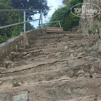 фото из отзыва ID 2740470