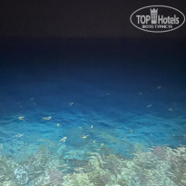 фото из отзыва ID 2740510