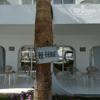 фото из отзыва ID 2740517