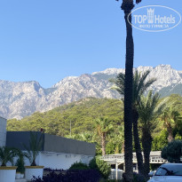 фото из отзыва ID 2740519