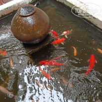 фото из отзыва ID 2740470