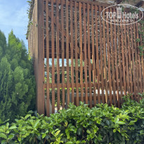 фото из отзыва ID 2740532