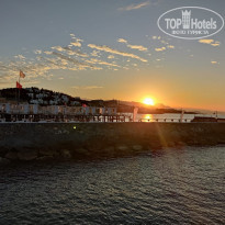 фото из отзыва ID 2740544