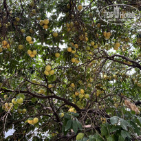 фото из отзыва ID 2740545