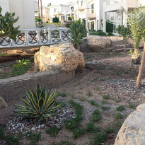 фото из отзыва ID 2740549