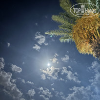 фото из отзыва ID 2740553