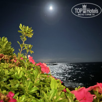 фото из отзыва ID 2740553