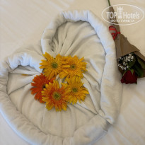 фото из отзыва ID 2740553