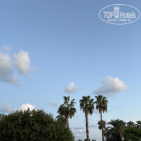 фото из отзыва ID 2740553