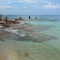 фото из отзыва ID 2740470