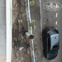 фото из отзыва ID 2740571