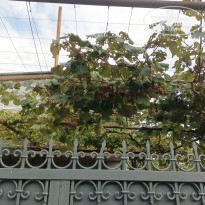 фото из отзыва ID 2740571