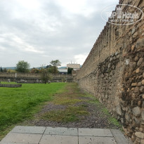 фото из отзыва ID 2740571