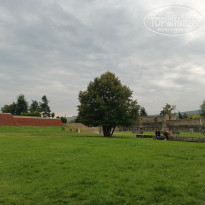 фото из отзыва ID 2740571