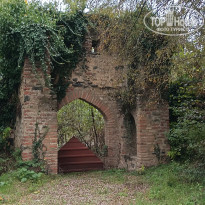 фото из отзыва ID 2740571