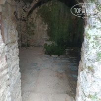 фото из отзыва ID 2740571