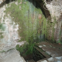 фото из отзыва ID 2740571