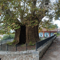 фото из отзыва ID 2740571