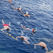 фото из отзыва ID 2740583