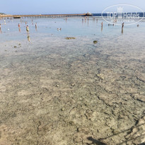 фото из отзыва ID 2740583