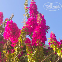 фото из отзыва ID 2740589