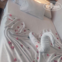 фото из отзыва ID 2740594